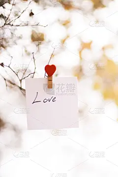 贺卡,笔记本,可爱的,赫拉特,垂直画幅,留白,纹理效果,想法,白色,彩色图片