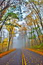 Blue Ridge Parkway, North Carolina #小清新#