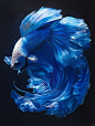 #ai绘画 #斗鱼 - 小红书