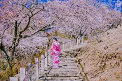 【图片】#宝藏小城#[kris带你云游花海】春来夏往，秋收冬藏，请收好这份四季“花海报表”,浙江景点图片-游侠客旅行