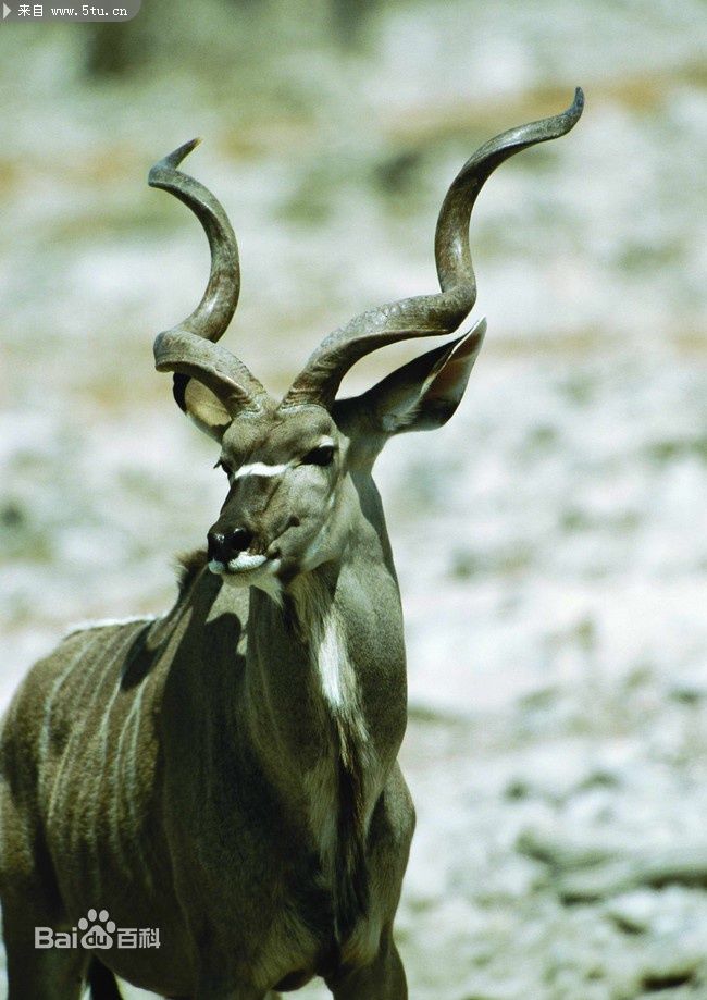 ab12e209f8b80779ac1cbfcd0c0f8c