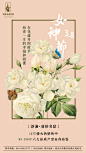康桥38