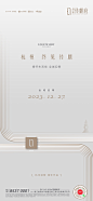 示范区开放前宣-20231220_画板 1 副本 3