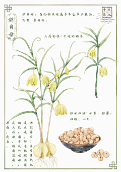 九月的星星采集到插画