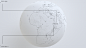 NIMSES - Global Lifetime