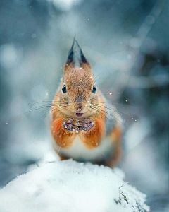 llllllll❄采集到灵感素材