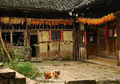 农家小院