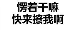 表情包 污_百度图片搜索