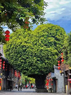 三坊七巷
三坊七巷是福州的历史文化名片，被誉为“中国城市里坊制度的活化石”和“明清建筑博物馆”。这里保存了大量明清时期的古建筑，包括名人故居如林则徐纪念馆、严复故居等。

⏰开放时间：街区全天开放，小景点8:30-17:00

门票：免费，小景点联票90元

✅交通：地铁1/4号线东街口站C西南口出，近达明美食街