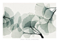 Ginkgo Dance Prints by Steven N. Meyers at AllPosters.com