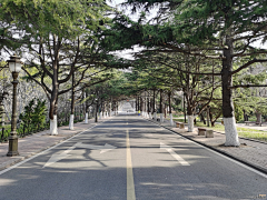 松月饼干采集到标识