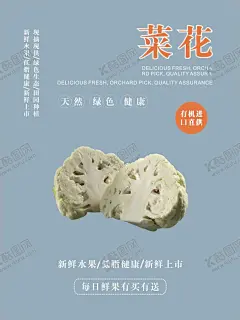 菜花海报 【酷图网】花菜,菜花,椰菜花,花菜图片,菜花图片,椰菜花图片,绿色蔬菜,健康果蔬,美味饮食,菜花海报,菜花展板,菜花模板,菜花展架,菜花易拉宝,舌尖上的菜花,白色菜花,白色花菜,白色椰菜花,茶花海报