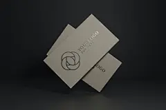 豪华 飞行 名片 模型 样机 贴图 设计素材