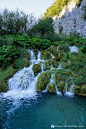 (89) Pinterest