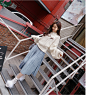 『美の天仙』孙允珠_模特美图吧_百度贴吧