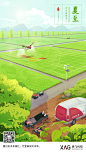 【夏至】24节气插画海报/节日营销——by粒焰