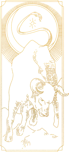神秘塔罗牌十二星座黄道十二宫金色线条线稿PNG免扣插画元素(11)