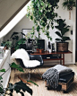 *Copenhagen Wilderness* neutrals with plants, natural office/ work space