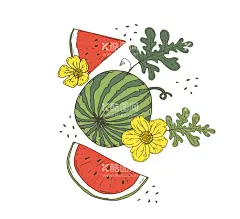 矢量西瓜  - 源文件下载【酷图网】西瓜展架,水果,新鲜水果,新鲜西瓜,香甜西瓜,西瓜海报,西瓜熟了,西瓜水果,采摘西瓜,西瓜采摘,西瓜拱门,西瓜牌坊,卖西瓜,西瓜广告,西瓜地,西瓜造型,吃西瓜,西瓜水果摊,农产品,水果超市,水果批发,西瓜店,西瓜汁,西瓜农,西瓜上市,进口西瓜,水果市场,西瓜人物,西瓜节,西瓜节海报