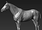 Dmitrii Prosov : freelance character artist/digital sculptor available