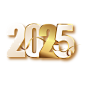 烫金立体2025数字艺术字装饰文字