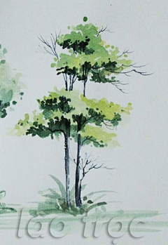 LCL-lcl采集到折线景观