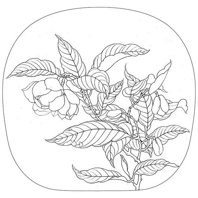 白描花鸟圆面