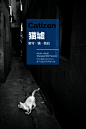 猫墟