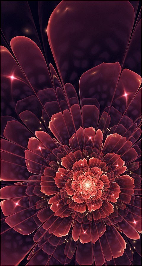 3D设计 火焰之花