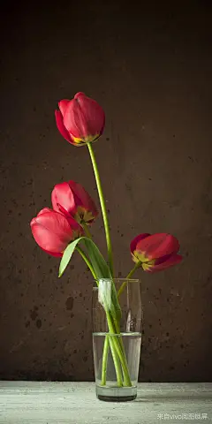 来自阅图锁屏