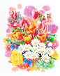 植物　花水彩画イラスト　スイトピーやチュ-リップなど春のブーケ花束水彩画イラスト