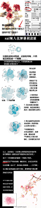 【教程】sai懒人花瓣笔刷的设置