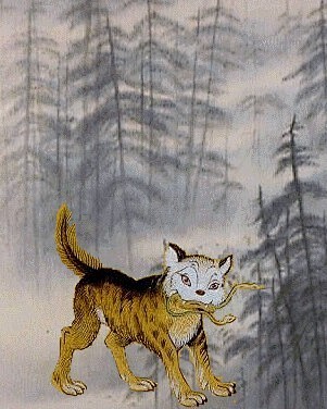 天狗生长在阴山形状像野猫头部白色鸣叫时发出猫猫的声音据说养之可以