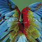 Friendly Fires, Hawaiian Air