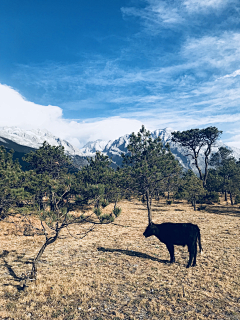 纸纸纸鸢采集到摄影 风景 人物 旅拍