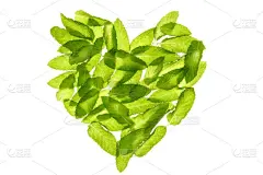 巴兹尔敏叶炉膛形状上白色隔离