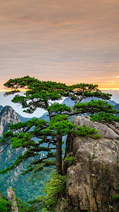 素材