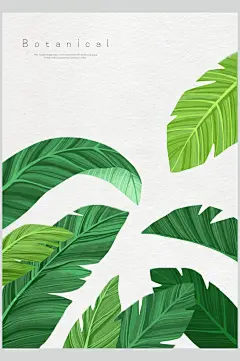 绿大气创意热带植物仙人掌植物素材