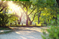 2015.10.21 Kyoto Botanical Garden with 90/2.8 : The photos of Kyoto Botanical Garden through 90/2.8 lens.
