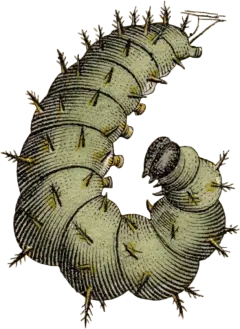 美式复古怀旧人物植物风景古董撕纸艺术拼贴剪贴画PNG免抠图素材