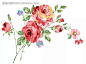 粉色月季花插画PSD分层素材|PSD素材|彩绘|插画|插图|风格|花苞|花边|花边素材|花卉|花蕾|花纹|花纹素材|绿色叶子|玫瑰|蔷薇|时尚|手绘|水彩|水墨画|素材|鲜花|艺术|月季