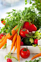 Fresh, organic vegetables will enhance the flavour of any meal