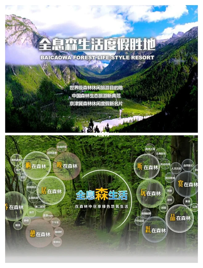 文旅策划//森林主题旅游案例学习分享