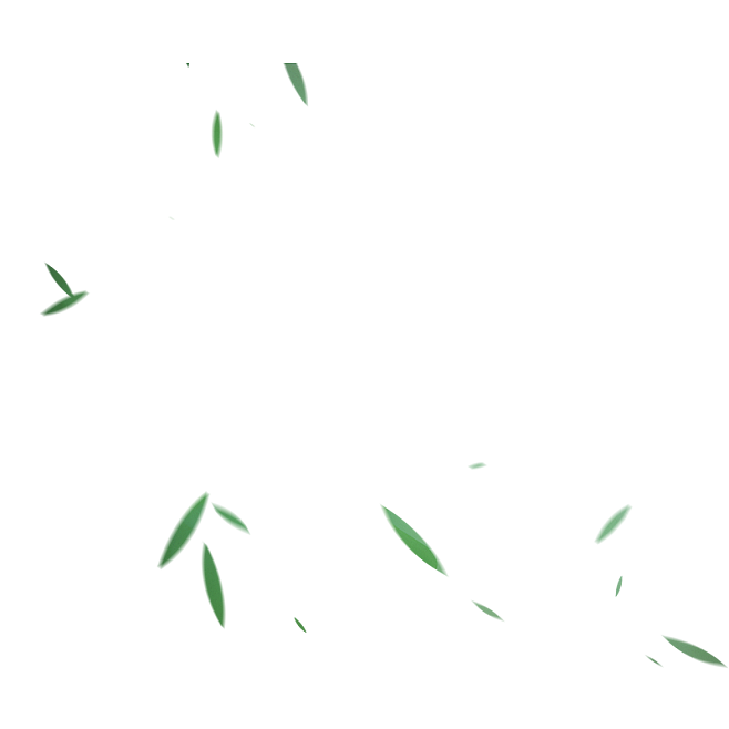 竹叶2