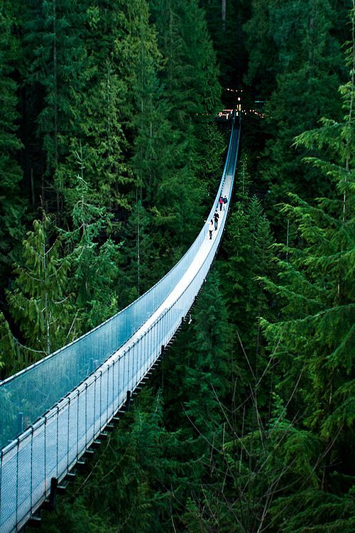 Capilano Suspension ...