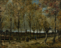 1280px-Vincent_van_Gogh_-_Poplars_near_Nuenen_-_Google_Art_Project.jpg (1280×1016)