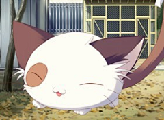 babykitty采集到萌动物