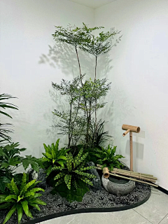 崔天强-园林景观设计采集到室内设计