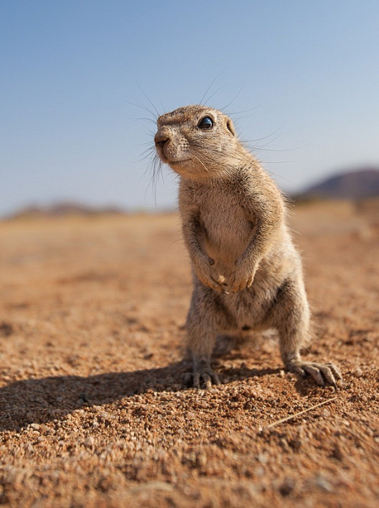 (48) Tumblr