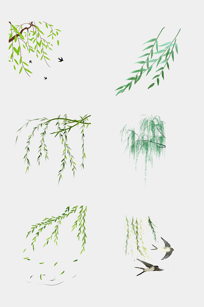 清新柳树枝条植物免抠素材